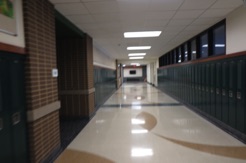 IMG_9523.jpg IMG_9523.jpg