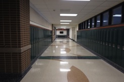IMG_9524.jpg IMG_9524.jpg